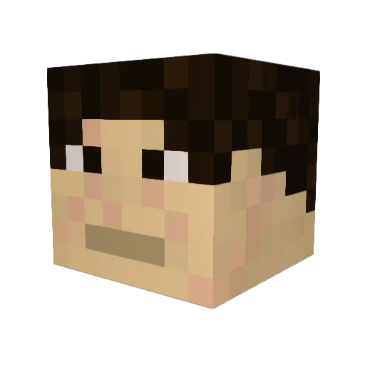 mineturtletrap Minecraft avatar head, 3D render