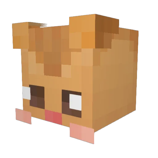 minggoo0910 Minecraft avatar head, 3D render