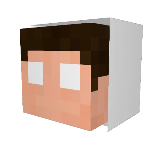 minguadoogro Minecraft avatar head, 3D render