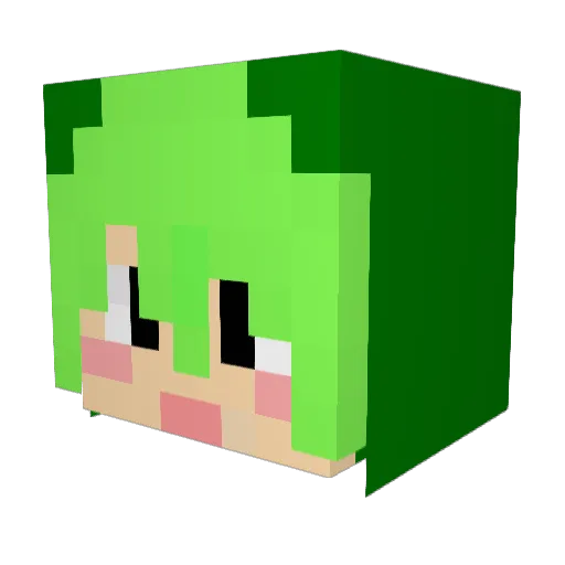 mini_frog Minecraft avatar head, 3D render