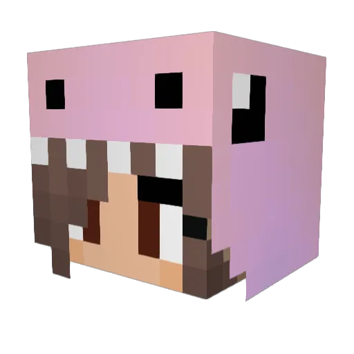 mini_meatbalI Minecraft avatar head, 3D render