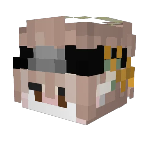mini_salo Minecraft avatar head, 3D render