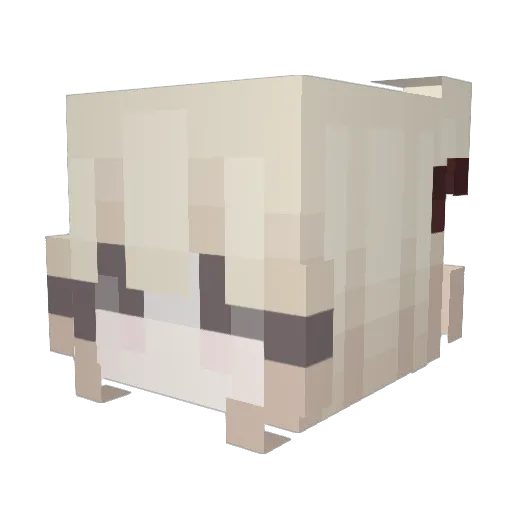 mini_snout Minecraft avatar head, 3D render