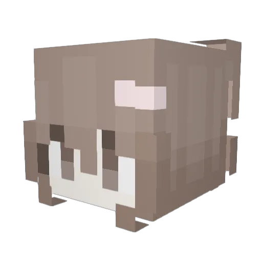 minibunny80 Minecraft avatar head, 3D render