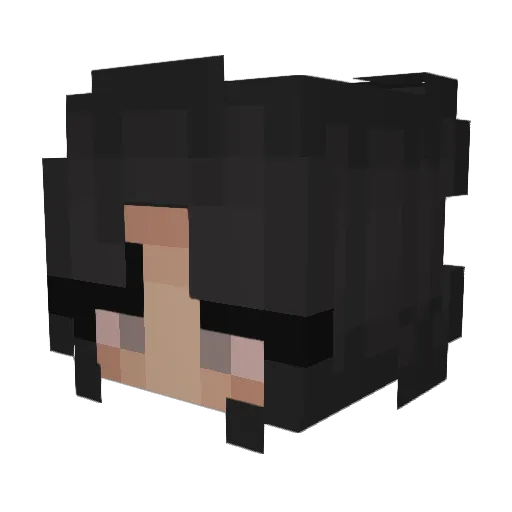 minichicken4432 Minecraft avatar head, 3D render