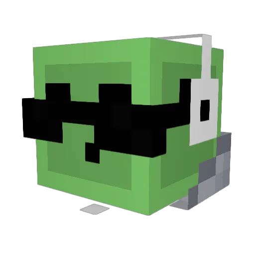 miniminor1234 Minecraft avatar head, 3D render