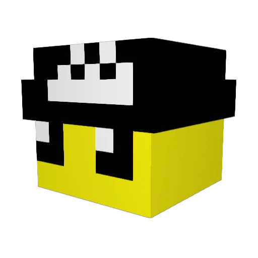 miningchamp1 Minecraft avatar head, 3D render