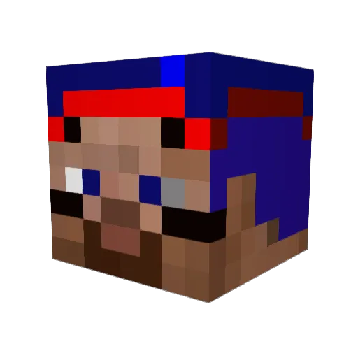 miningmaniacmax Minecraft avatar head, 3D render