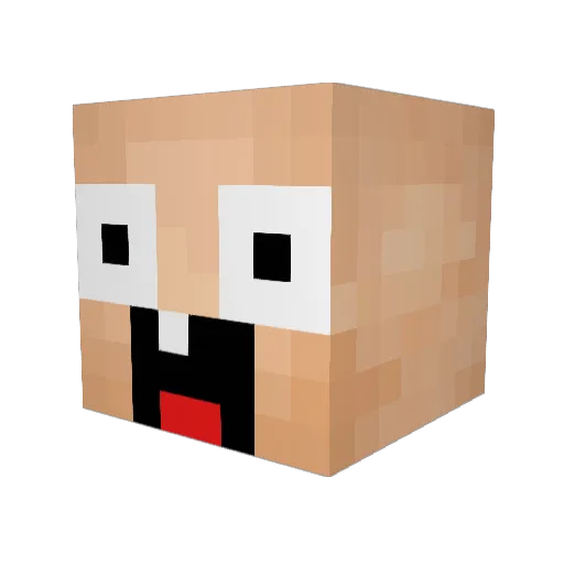 minininja159 Minecraft avatar head, 3D render