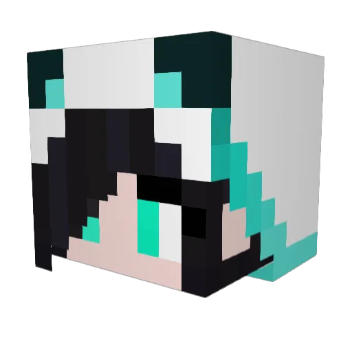 minivanman Minecraft avatar head, 3D render
