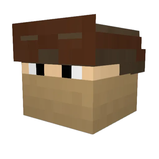 miniwarlord Minecraft avatar head, 3D render