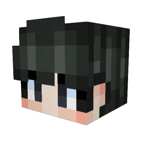 minjacz Minecraft avatar head, 3D render