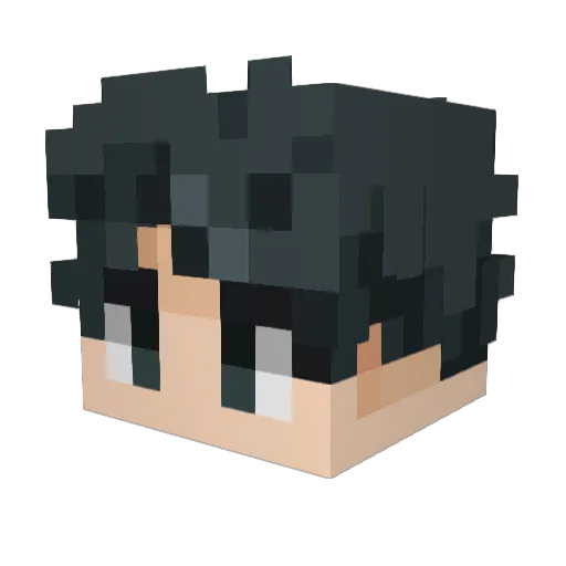 minjisbf Minecraft avatar head, 3D render