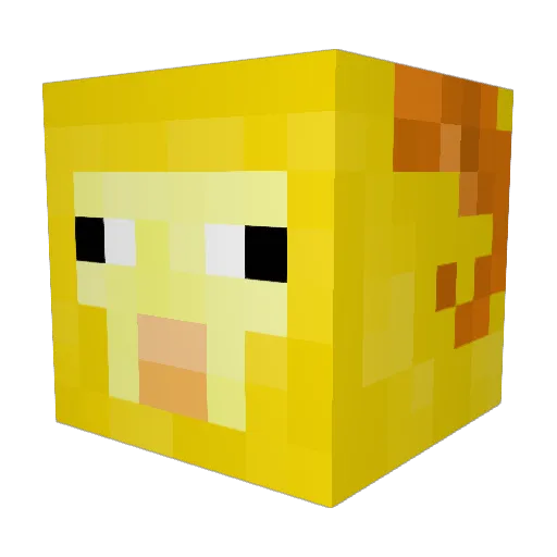 minkie56789 Minecraft avatar head, 3D render