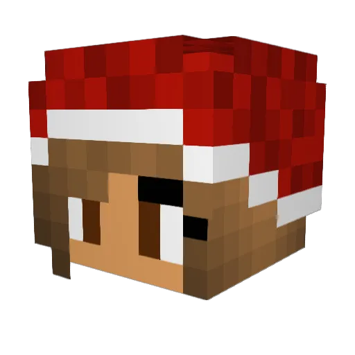 minnid123 Minecraft avatar head, 3D render