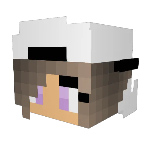 minnkato73 Minecraft avatar head, 3D render