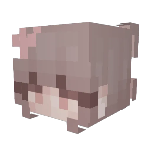 minns_madness Minecraft avatar head, 3D render