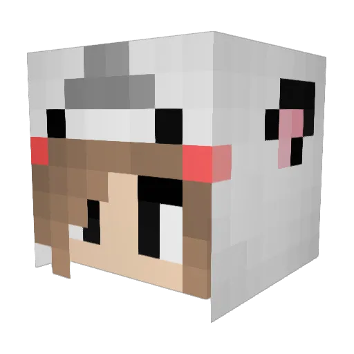 minsi123 Minecraft avatar head, 3D render