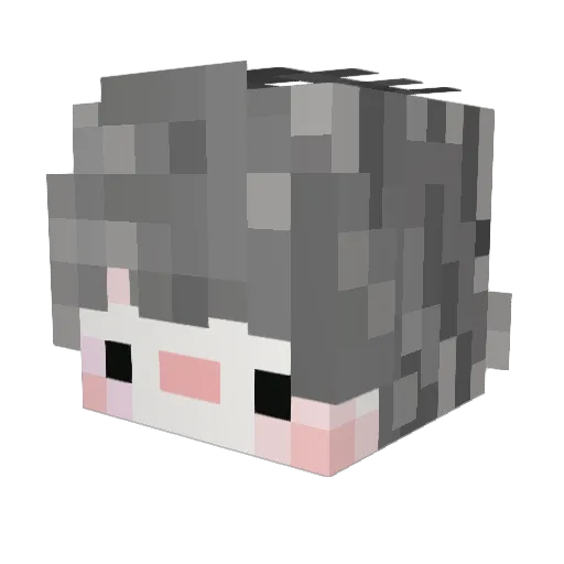 mint1102 Minecraft avatar head, 3D render