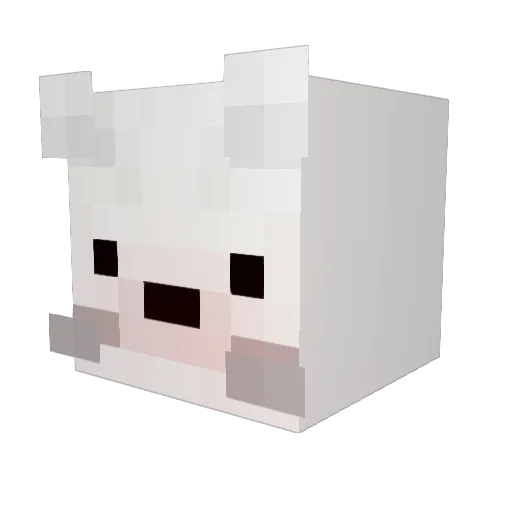 mintcolor_sky Minecraft avatar head, 3D render
