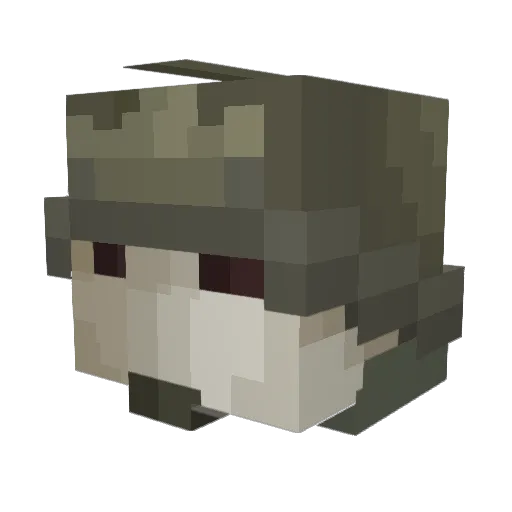 minty693 Minecraft avatar head, 3D render