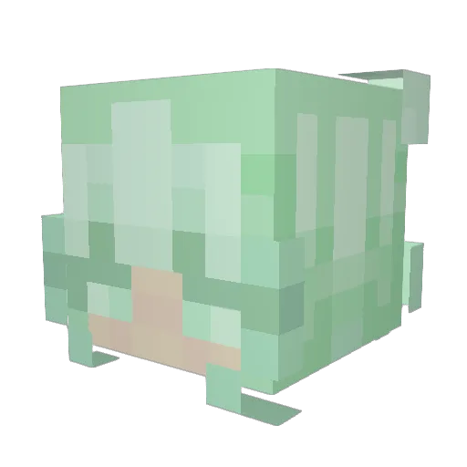 mintybubblee Minecraft avatar head, 3D render