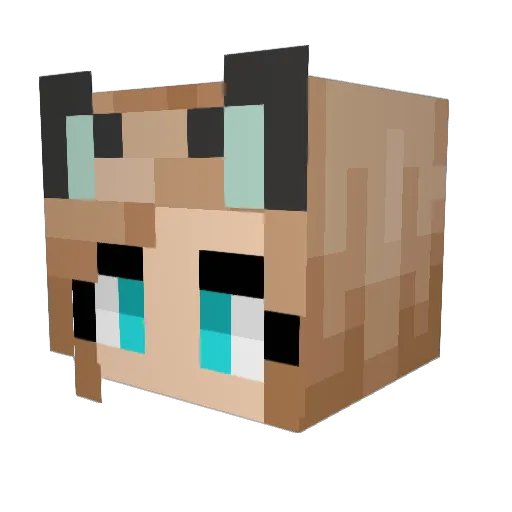 mintydelight Minecraft avatar head, 3D render