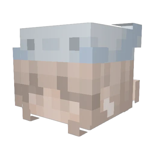 mintyhannah Minecraft avatar head, 3D render
