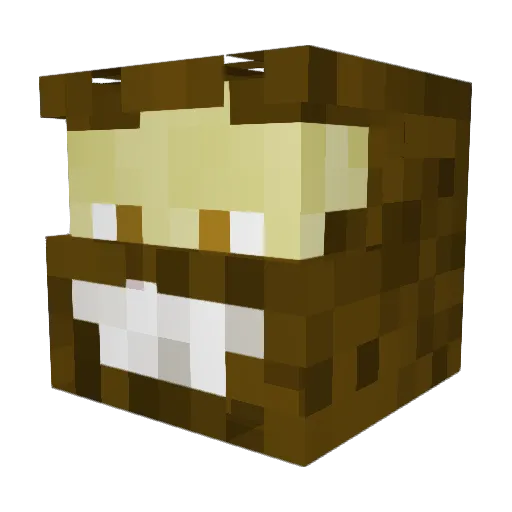 minusher_8 Minecraft avatar head, 3D render