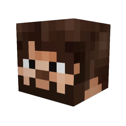 minwes18 Minecraft avatar head, 3D render