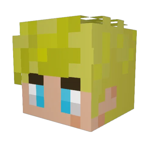 miny73 Minecraft avatar head, 3D render
