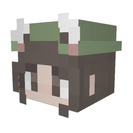 minzwasser Minecraft avatar head, 3D render