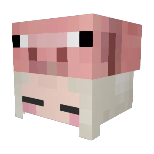 mioooori Minecraft avatar head, 3D render