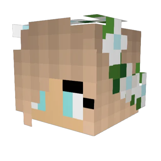 mip39 Minecraft avatar head, 3D render