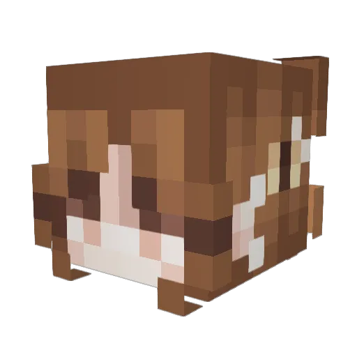 miracleleat Minecraft avatar head, 3D render