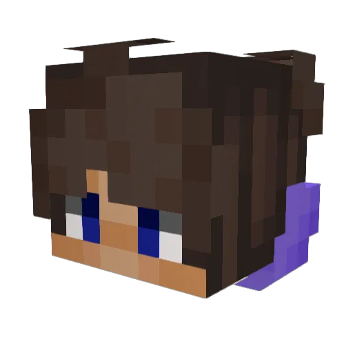 mire12 Minecraft avatar head, 3D render