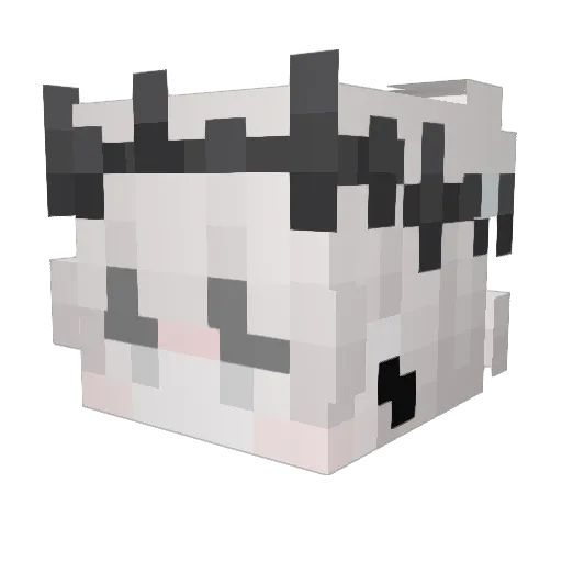 mireong Minecraft avatar head, 3D render