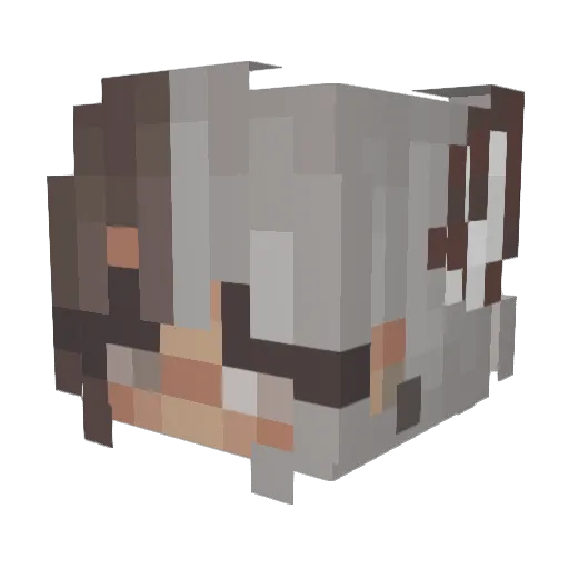 miri21 Minecraft avatar head, 3D render