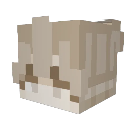 miroiro Minecraft avatar head, 3D render