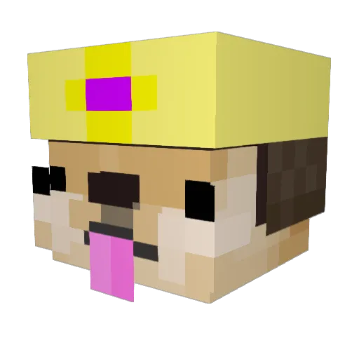 mirpoe Minecraft avatar head, 3D render