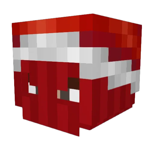 mirror04xd Minecraft avatar head, 3D render
