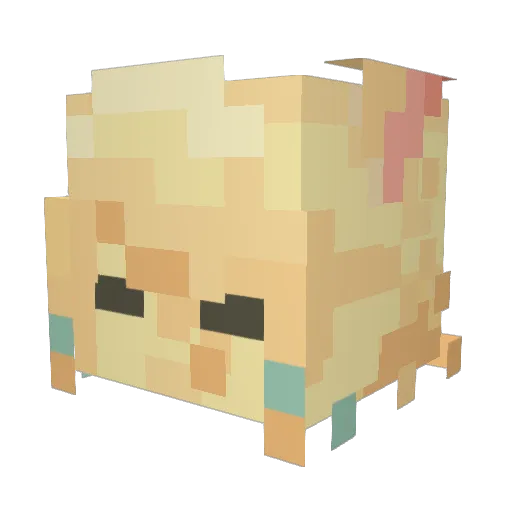 mirror_cle Minecraft avatar head, 3D render