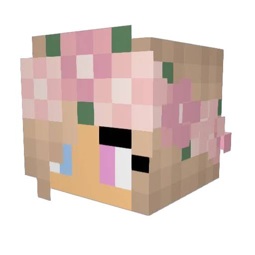 mirtsucca Minecraft avatar head, 3D render