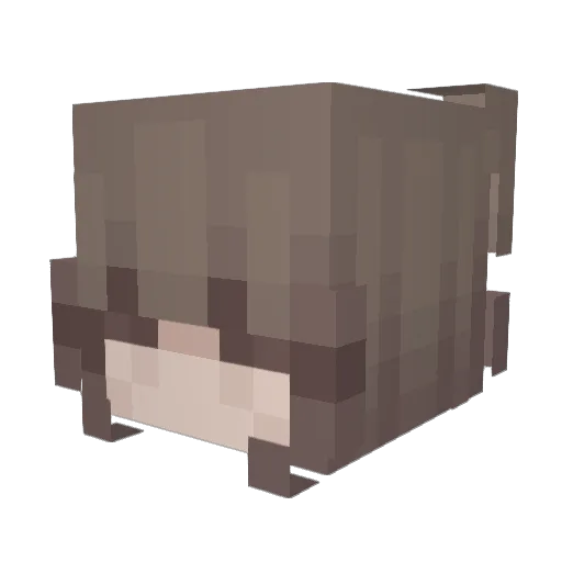 misahraje202 Minecraft avatar head, 3D render