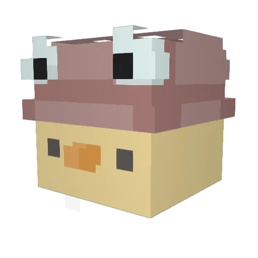misan4 Minecraft avatar head, 3D render