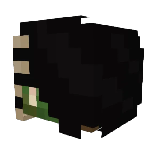 miseryscompany Minecraft avatar head, 3D render