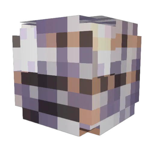 misingno Minecraft avatar head, 3D render