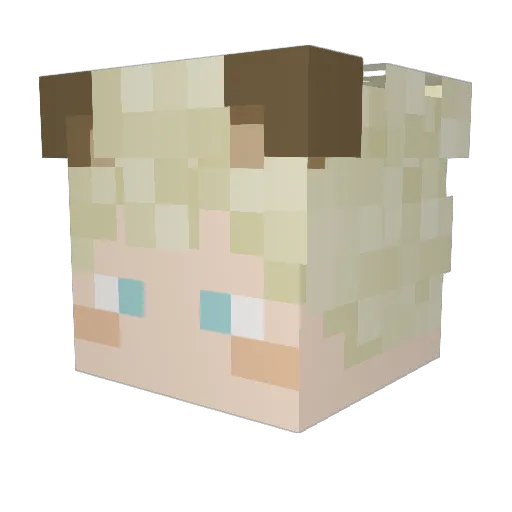 misiobox01 Minecraft avatar head, 3D render