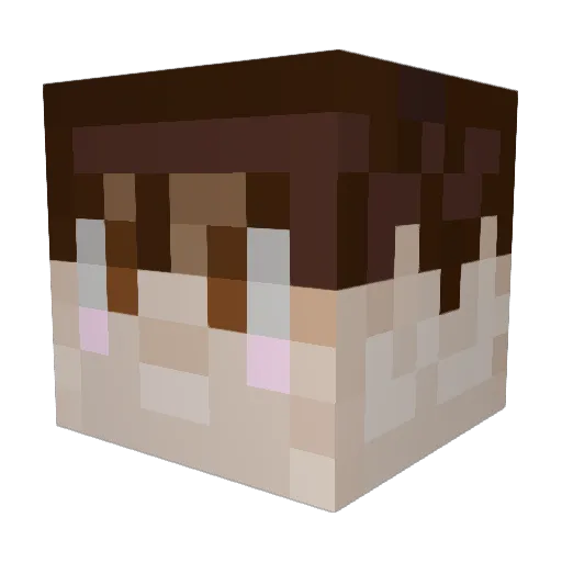 misiuslodki Minecraft avatar head, 3D render