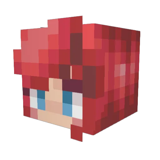 miso9999 Minecraft avatar head, 3D render